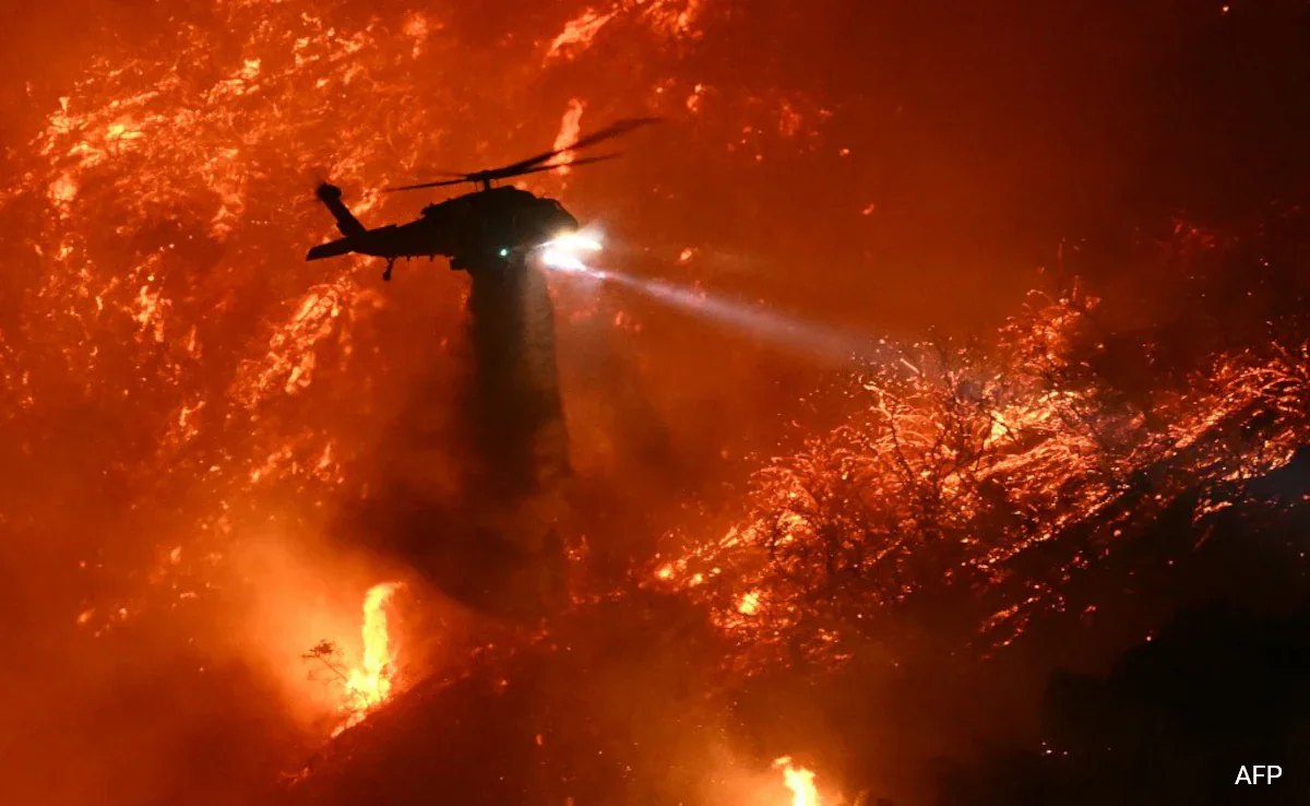 Read more about the article Los Angeles Wildfire: A Detailed Look into the Incident, Causes, and Global Response