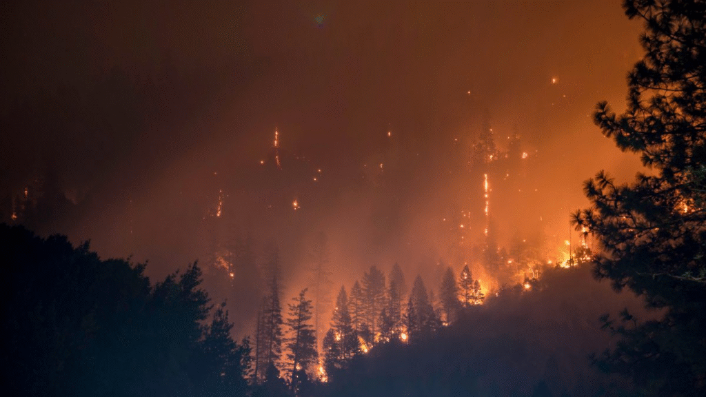 image ISS California Wildfire